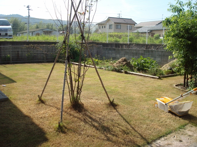 DSC02817 (640x480)