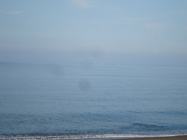 DSC02822 (640x480)