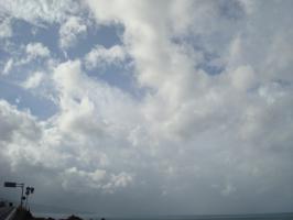DSC02842 (640x480)