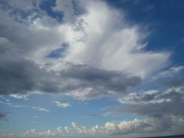 DSC02930 (640x480)