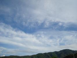 DSC02935 (640x480)