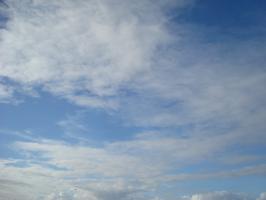 DSC02946 (640x480)