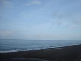DSC02982 (640x480)
