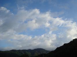 DSC02987 (640x480)
