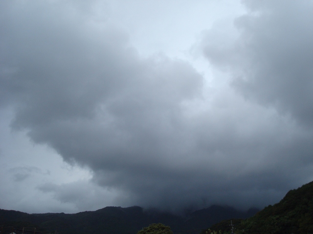 DSC03341 (640x480)