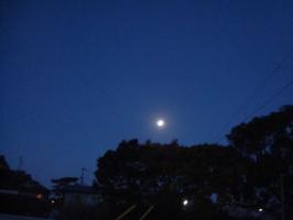 DSC03396 (640x480)