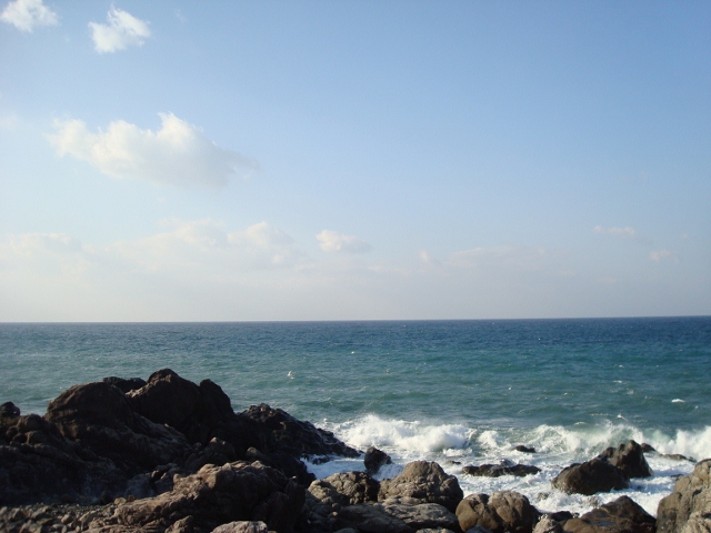 DSC03416 (640x480)