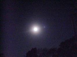 DSC03509 (640x480)
