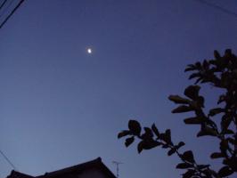 DSC03545 (640x480)