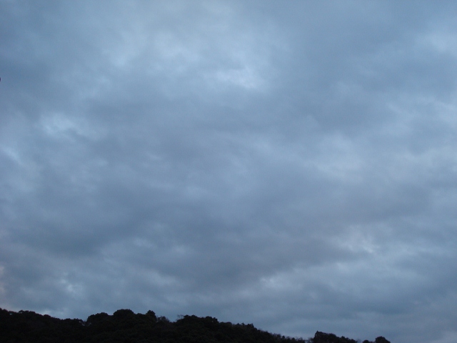 DSC03549 (640x480)