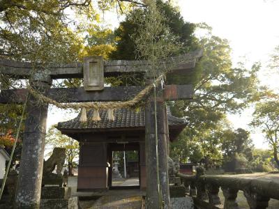 南馬場の大樟②