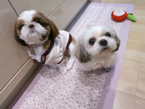 今日のふたり