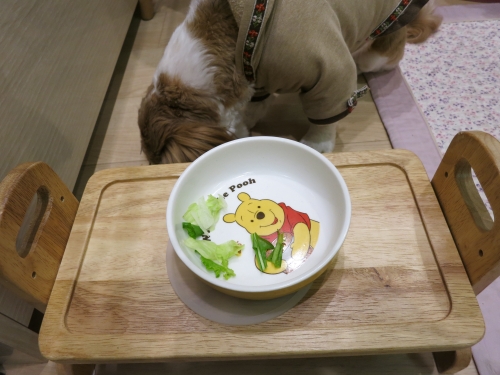 食事中のふたり5