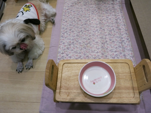 食後の様子1