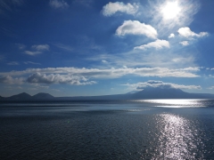 IMG_6128.jpg