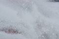QL8Y6812_20140204220201a68.jpg
