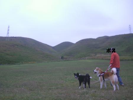 CIMG3940_convert_20121027143338.jpg