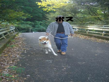 CIMG4092_convert_20121115141636.jpg