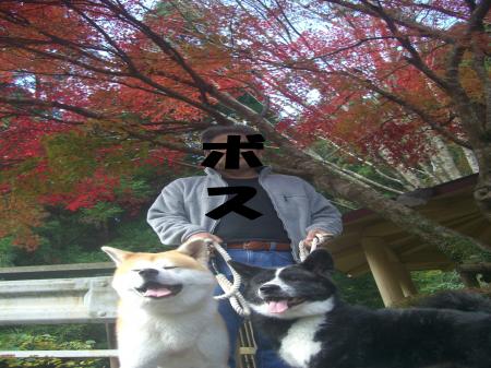 CIMG4105_convert_20121115141902.jpg