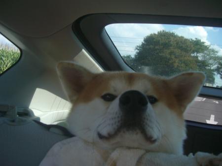 CIMG4112_convert_20121115142200.jpg