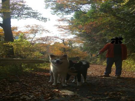 CIMG4177_convert_20121111091206.jpg
