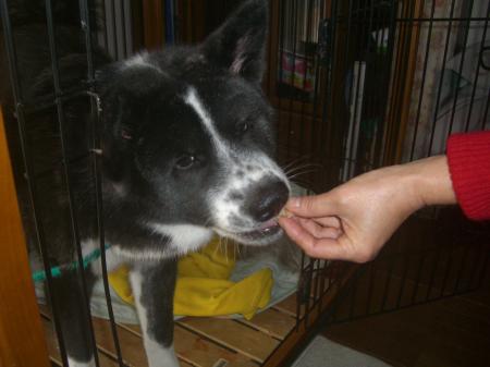 CIMG4333_convert_20121208081914.jpg