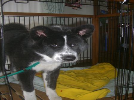 CIMG4335_convert_20121208082132.jpg