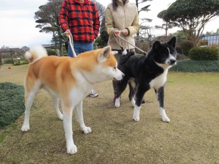 IMG_0070_convert_20130101134154.jpg