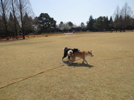 IMG_0674_convert_20130317150644.jpg