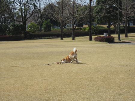 IMG_0677_convert_20130317150854.jpg