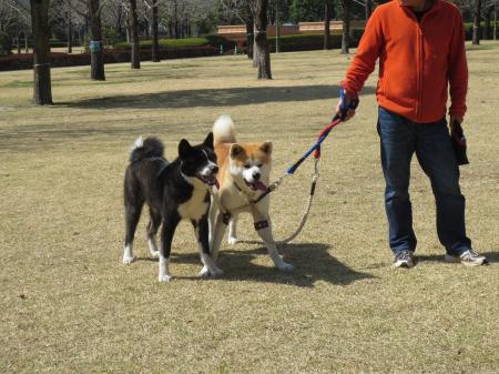 IMG_0683_convert_20130317150937.jpg