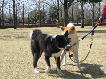 IMG_0684_convert_20130317151017.jpg