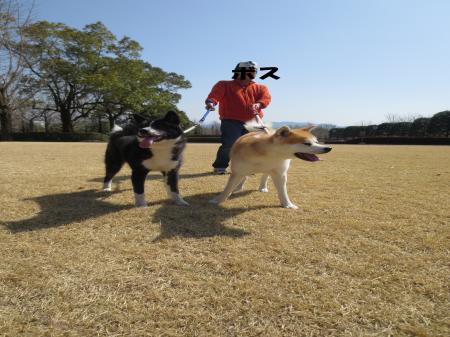 IMG_0693_convert_20130317151316.jpg