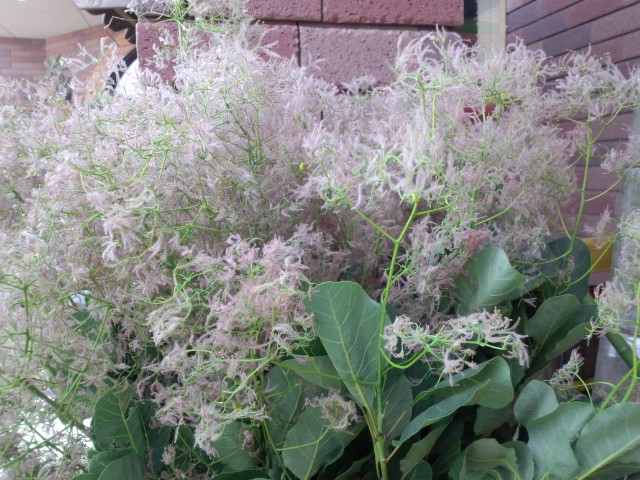 120604-7.jpg