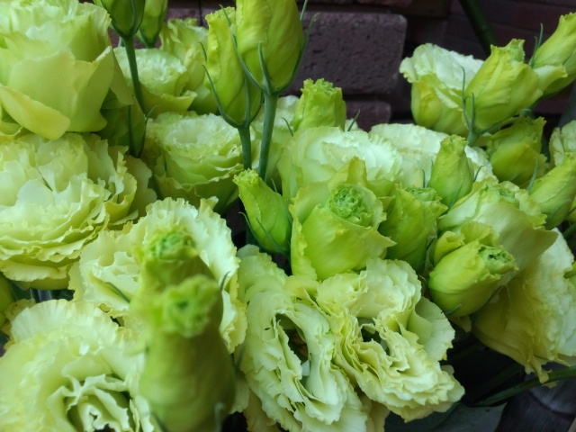 120604-8.jpg