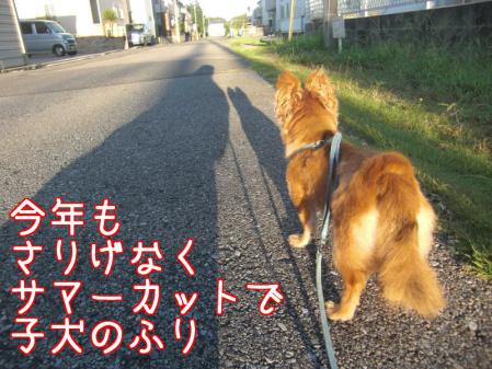 Aブログ092302