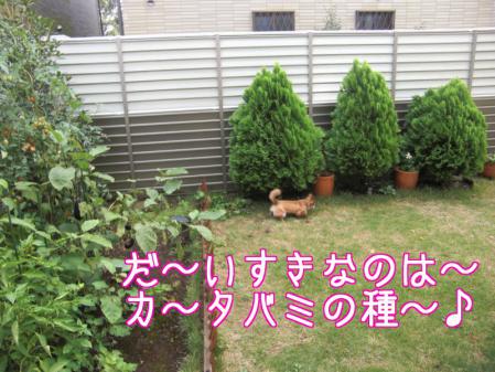 Aブログ092303
