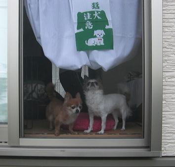 Aブログ092309