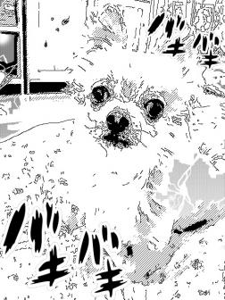 iPhone 画像 090