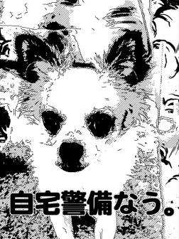 iPhone 画像 087