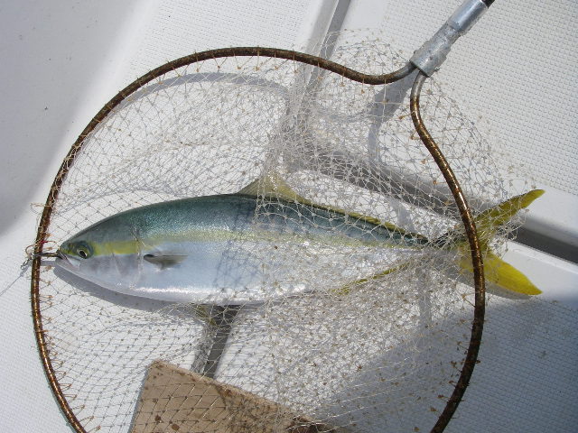 IMGP0008.jpg