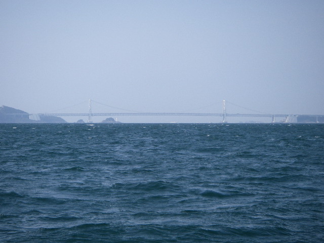 IMGP0061.jpg