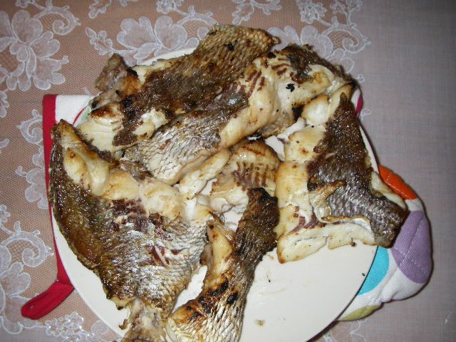 IMGP0068.jpg