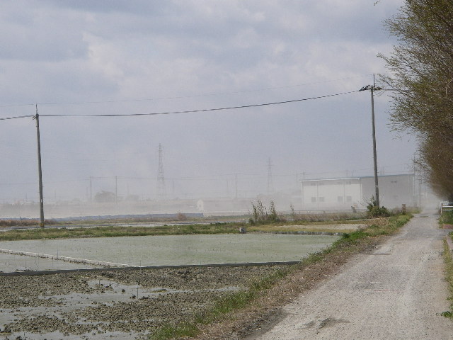 IMGP0075.jpg