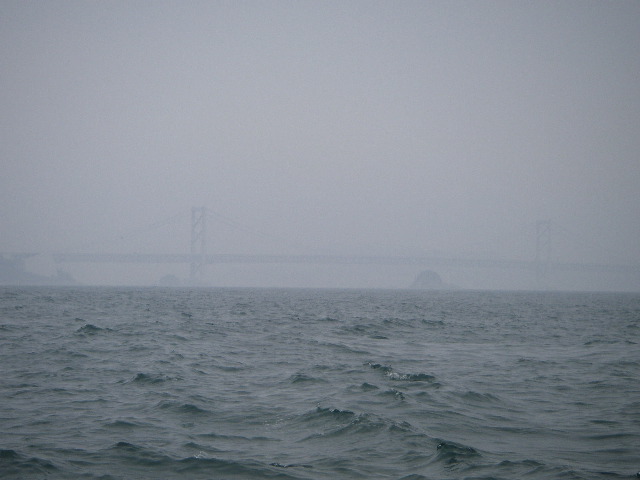 IMGP0110.jpg