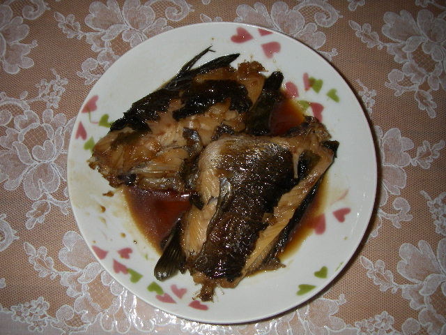 IMGP0123.jpg