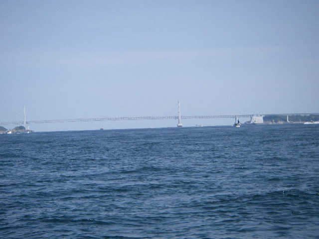 IMGP0158.jpg