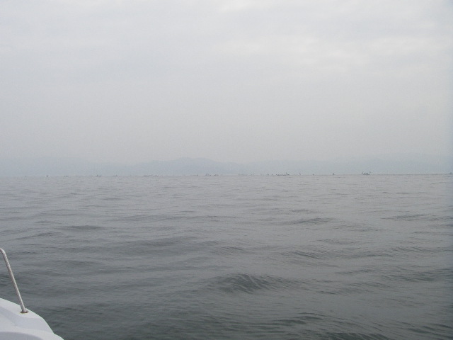 IMGP0160.jpg