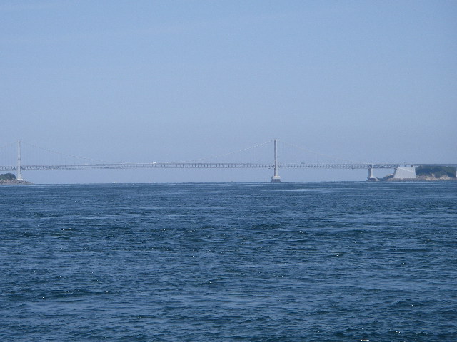 IMGP0186.jpg