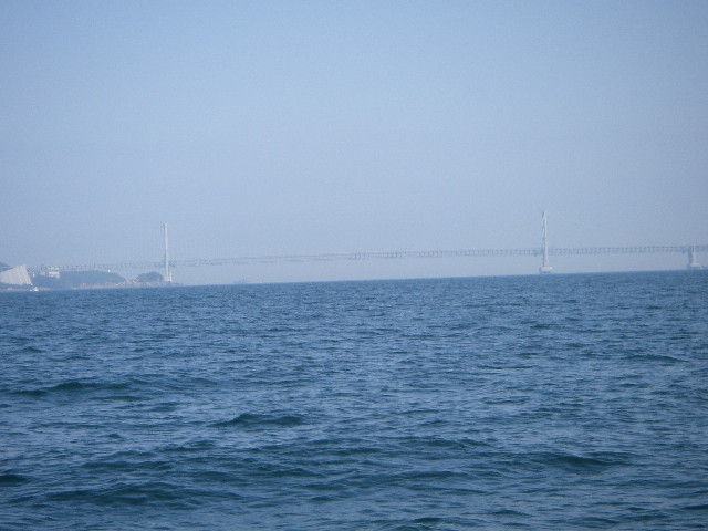 IMGP0214.jpg